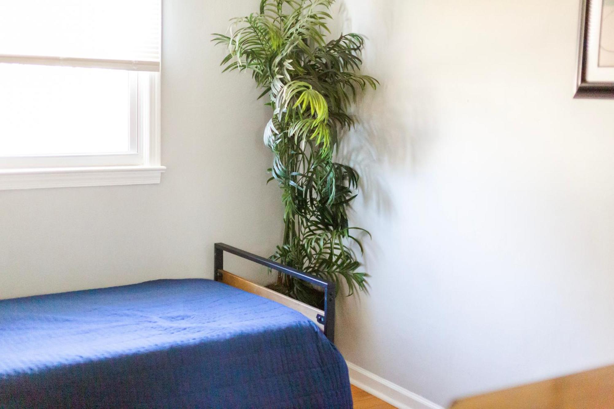 Fantastic 3Br Close To Botanical Gardens And Airport Norfolk Luaran gambar
