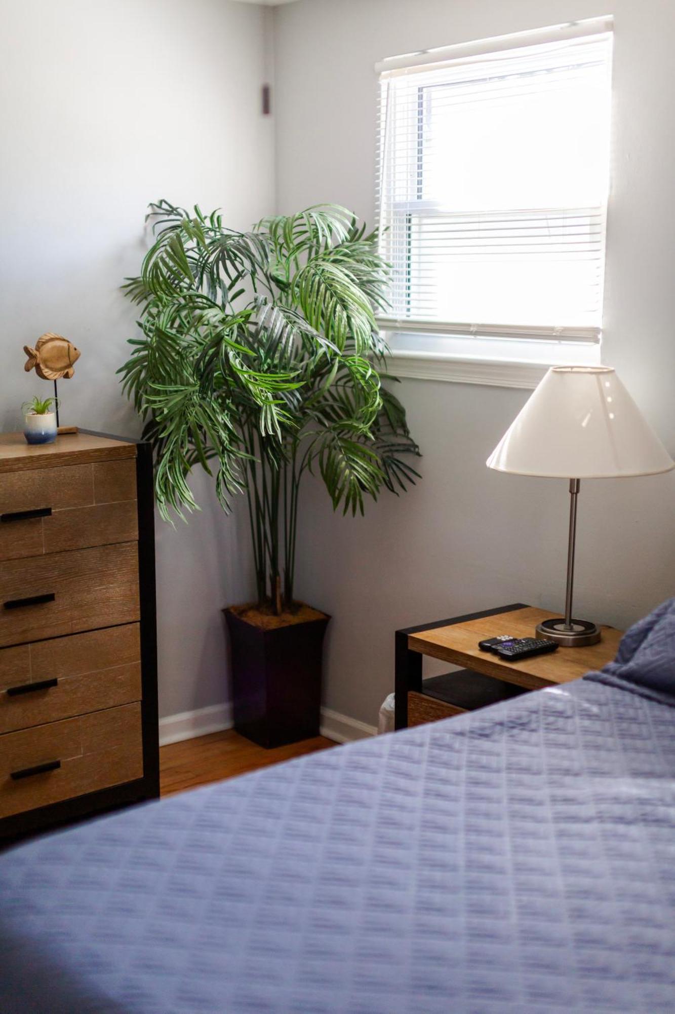 Fantastic 3Br Close To Botanical Gardens And Airport Norfolk Luaran gambar
